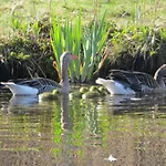 Ubytování v soukromí Sielanka - I Pod Leba Zarnowska