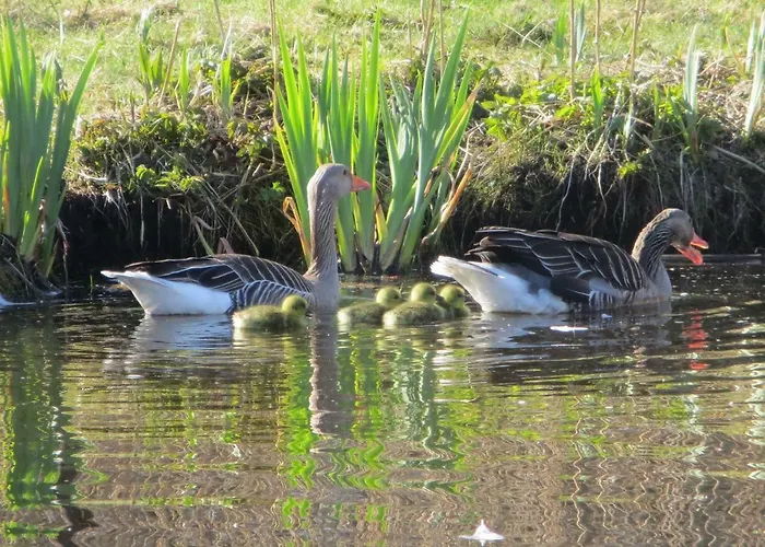 Pansiyon Sielanka - I Pod Leba Zarnowska